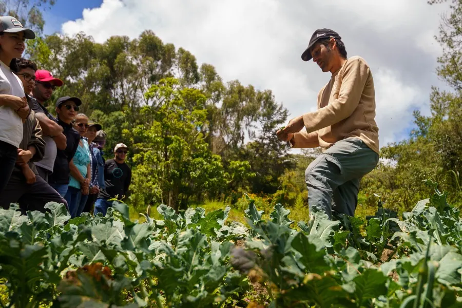 ¿Cómo funcionan las CSA en 3 pasos? Paso 1