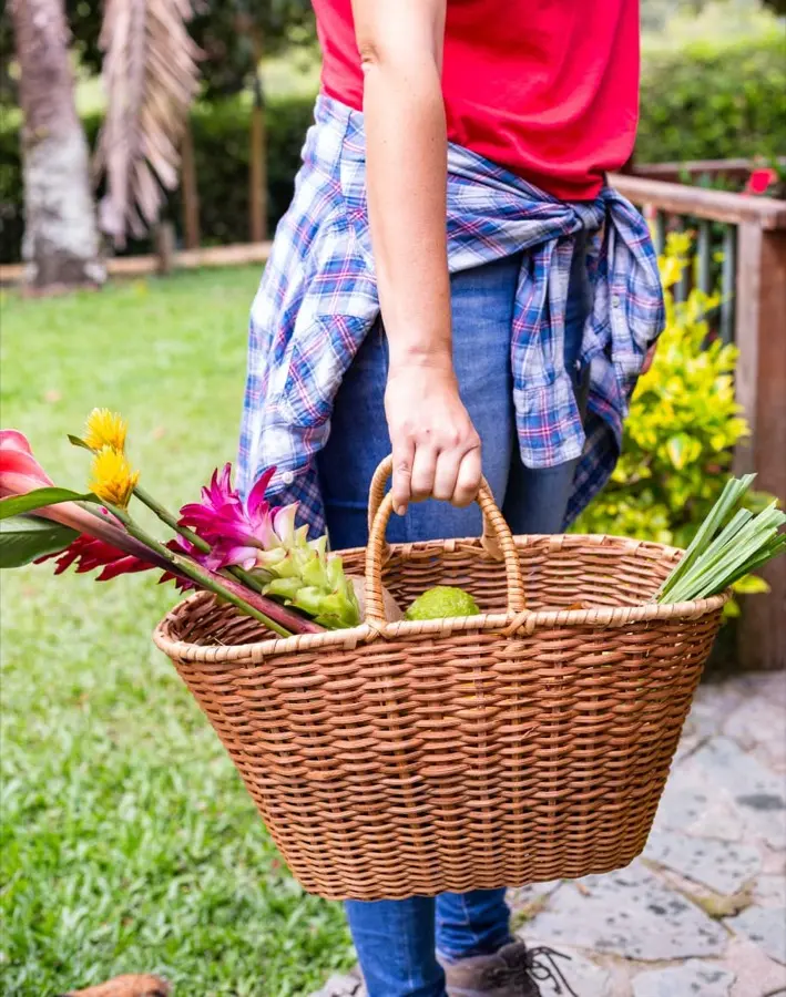 ¿Cómo funcionan las CSA en 3 pasos? Paso 3